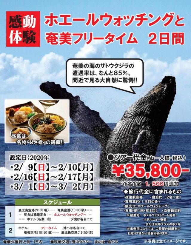 【感動体験】ホエールウォッチングと奄美フリータイム 2日間